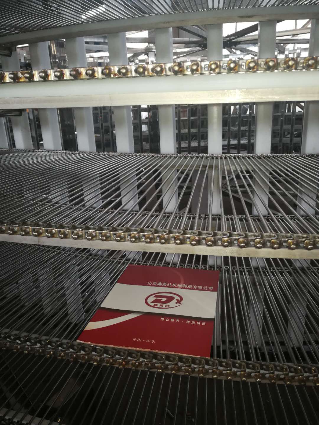 501049619413684835.jpg